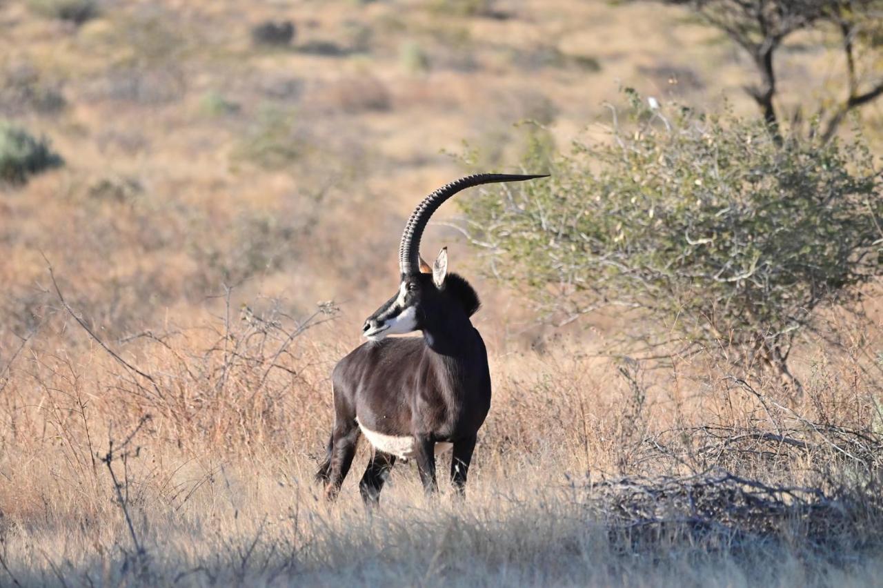 Aloegrove Safari Lodge Otjiwarongo Kültér fotó
