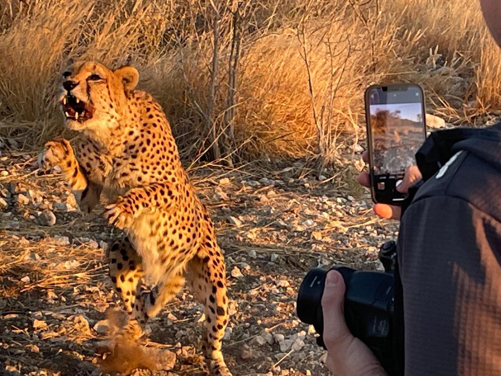Aloegrove Safari Lodge Otjiwarongo Kültér fotó